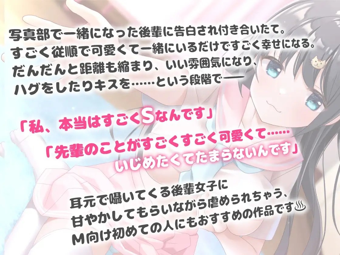 サンプル5