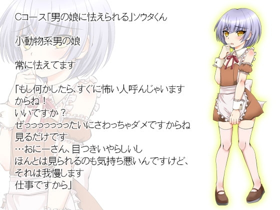サンプル6
