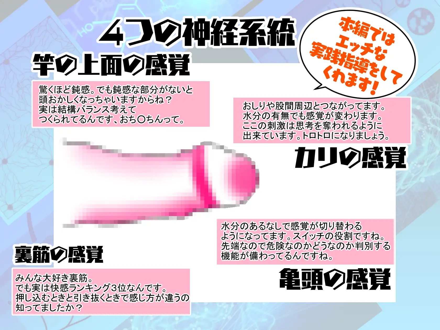 サンプル7