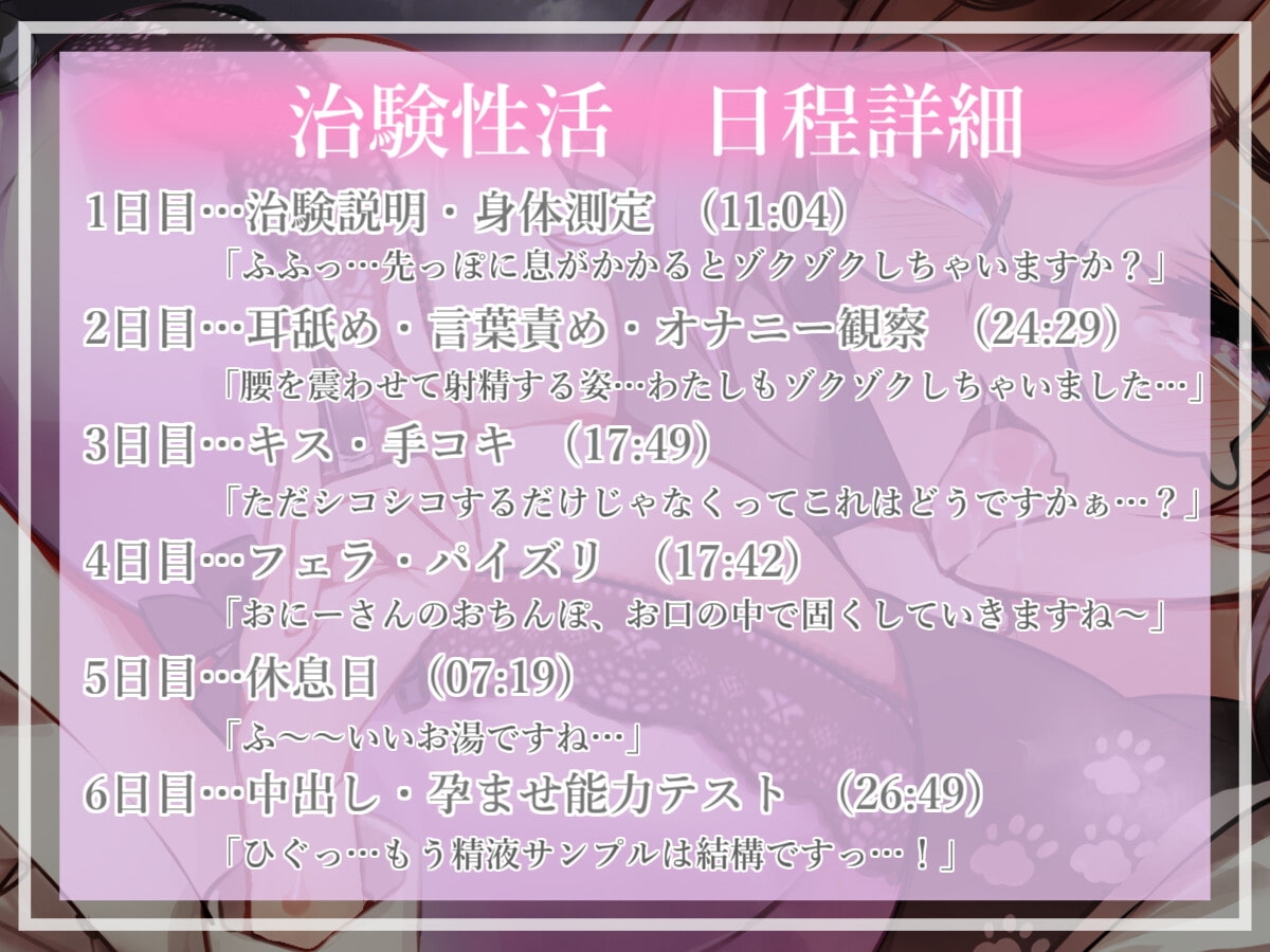 サンプル5