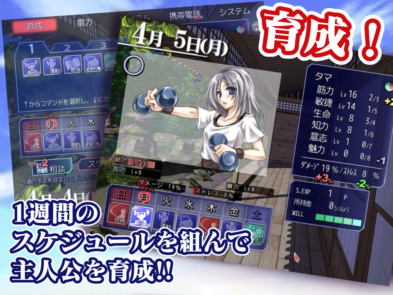 サンプル5
