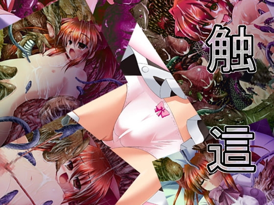 触這