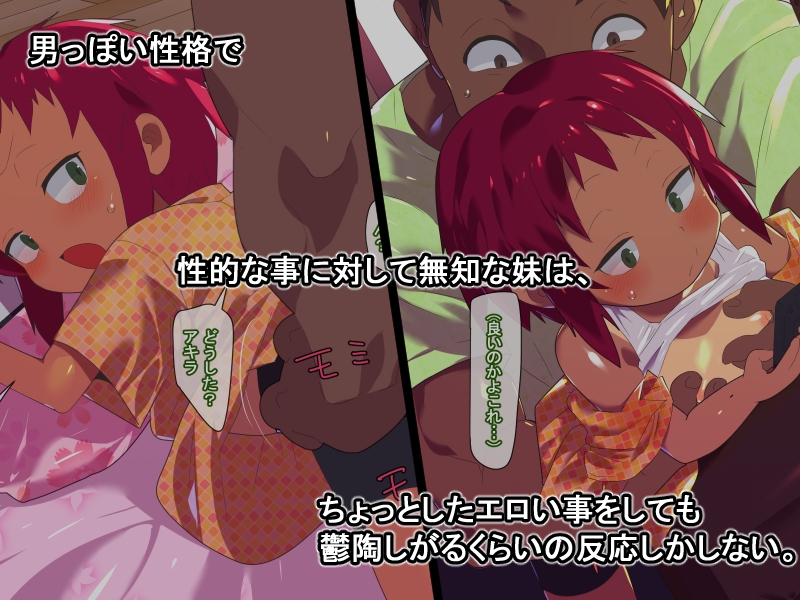 サンプル2