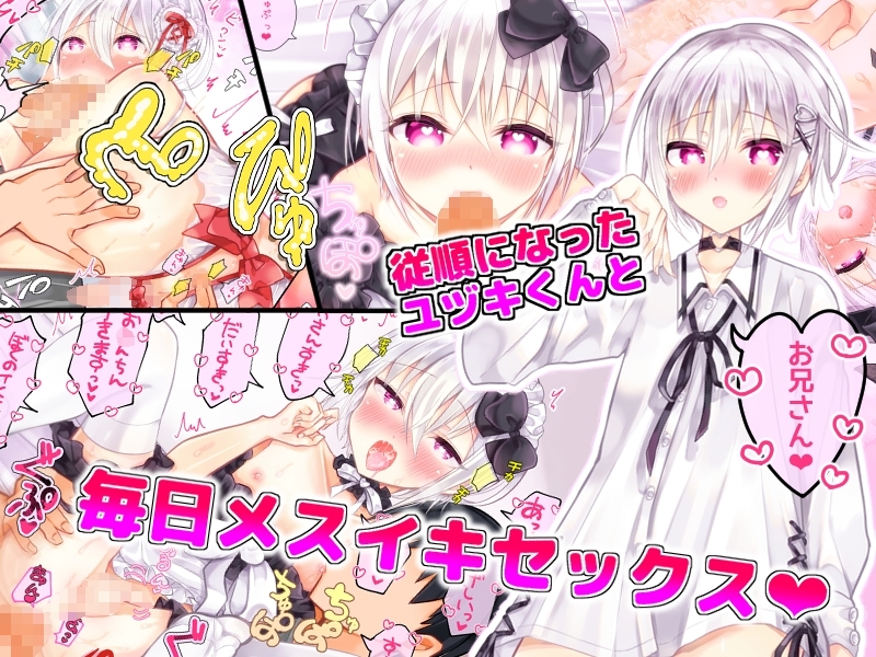 サンプル5