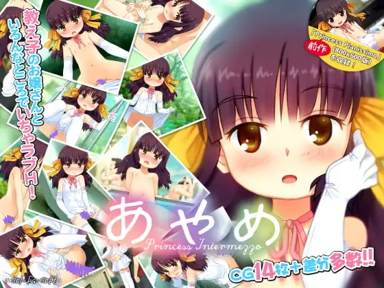 サンプル2