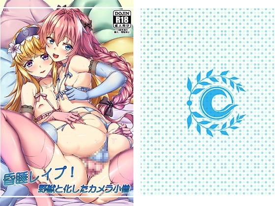 昏睡レ○プ!野獣と化したカメラ小僧日本語版