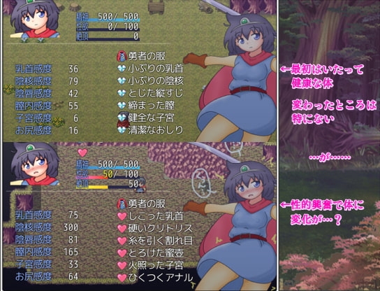 サンプル11