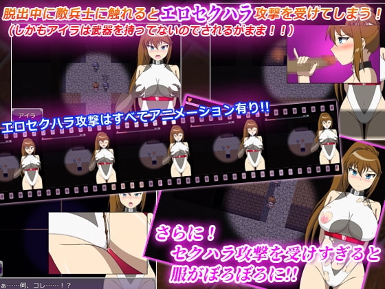 サンプル5