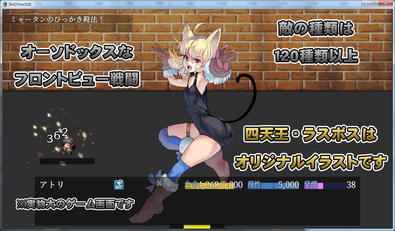 サンプル9