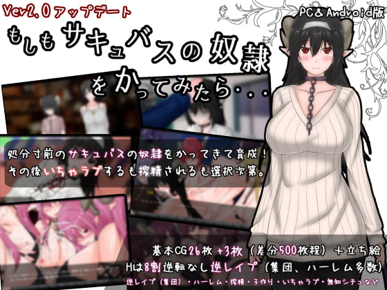 もしもサキュバスの奴○をかってみたら・・・