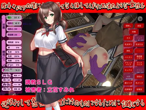 サンプル2