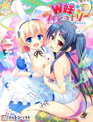 W妹ヴィジョナリー 豪華特典付き限定版