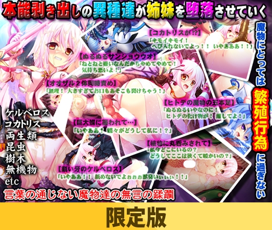 【限定版】魔法少女コノカ －異種触手・無限煉獄－
