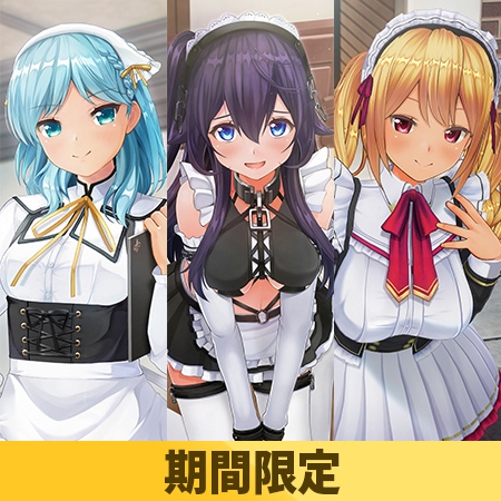 【期間限定】カスタムオーダーメイド3D2&2.5 EXキャラクター性格パック