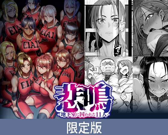悲鳴 ～after～ ショートストーリー セット版 限定版