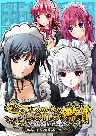 おかずのためのシーン鑑賞 メイド編 vol.1