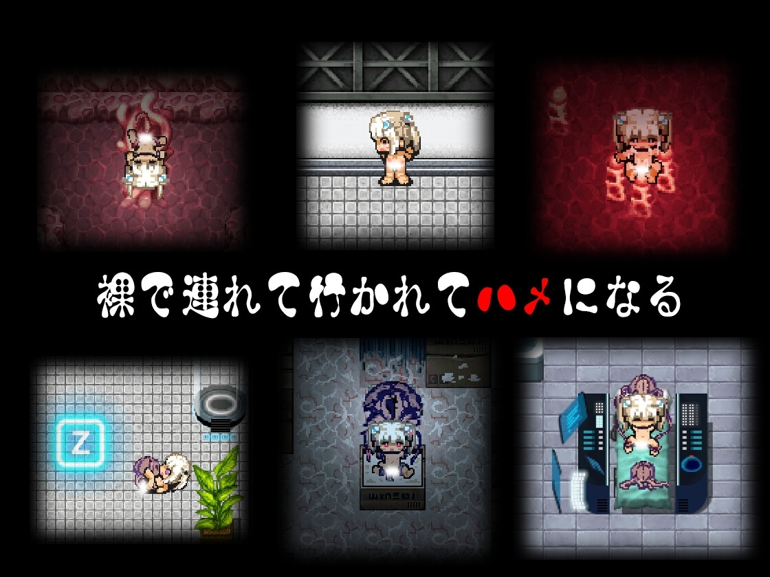 サンプル5