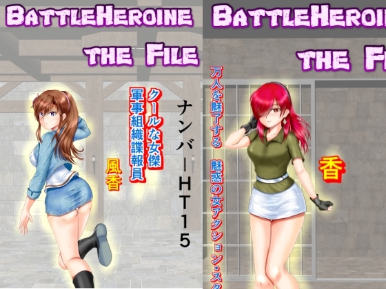 BattleHeroine The File V7 ナンバーHT15・HT20・HT25