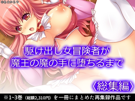 駆け出し女冒険者が魔王の魔の手に堕ちるまで  <総集編>