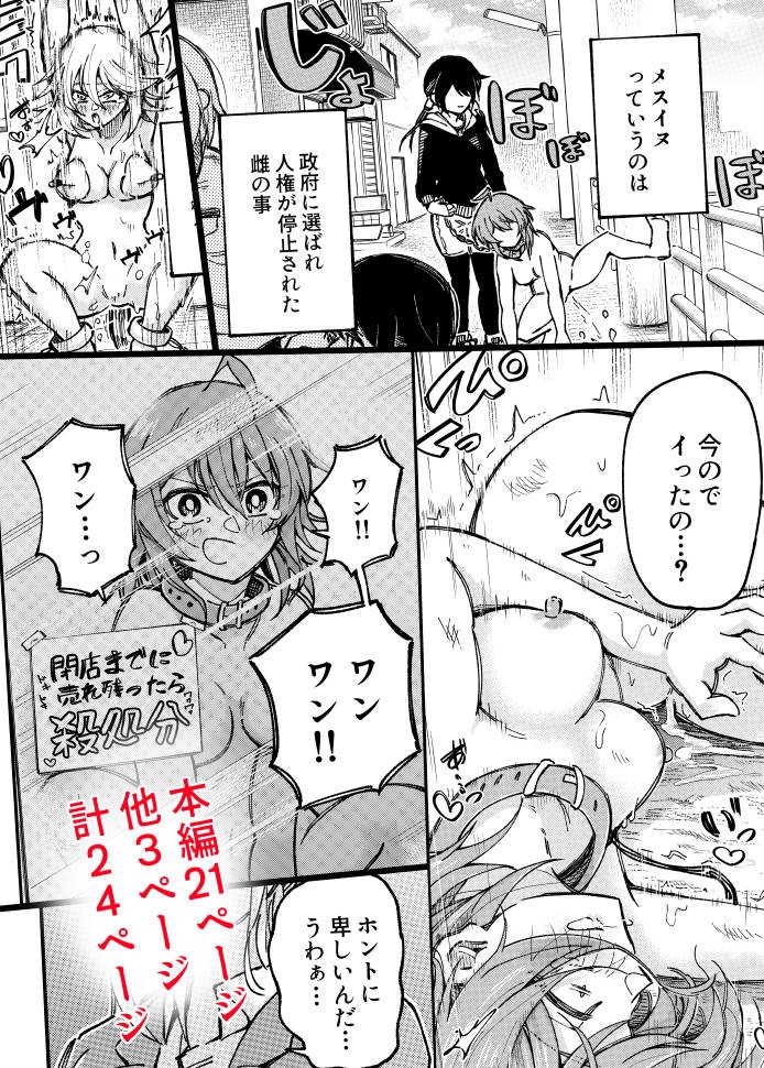 サンプル6